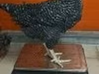 دومينانت — الصورة 3