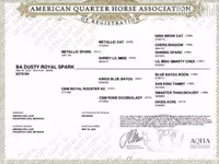 Yegua, Quarter Horse — foto 4