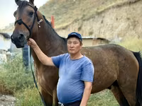 حصان, French Trotter — الصورة 1