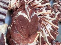 Beran, Rhon sheep — foto 5