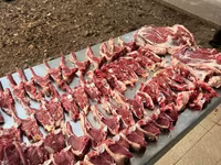 كبش, Rhon sheep — الصورة 7