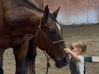 பெண் குதிரை, Quarter Horse — புகைப்படம் 4