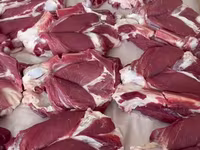 كبش, Rhon sheep — الصورة 5