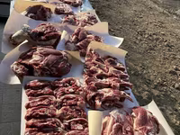 Beran, Rhon sheep — foto 6