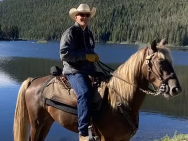 Kůň, Rocky Mountain Horse